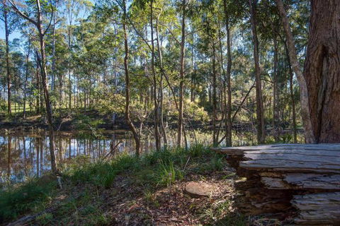 Oakey Creek Private Retreat - Lennox Head Accommodation 2