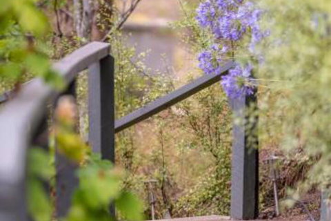 In The Valley - Lennox Head Accommodation 5