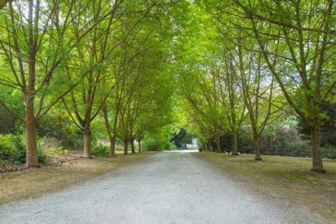 In The Valley - Lennox Head Accommodation 6