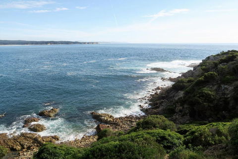 Tathra Hotel & Motel - Lennox Head Accommodation 5