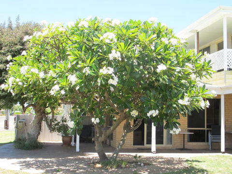 Kalbarri Riverfront Unit - Lennox Head Accommodation 3