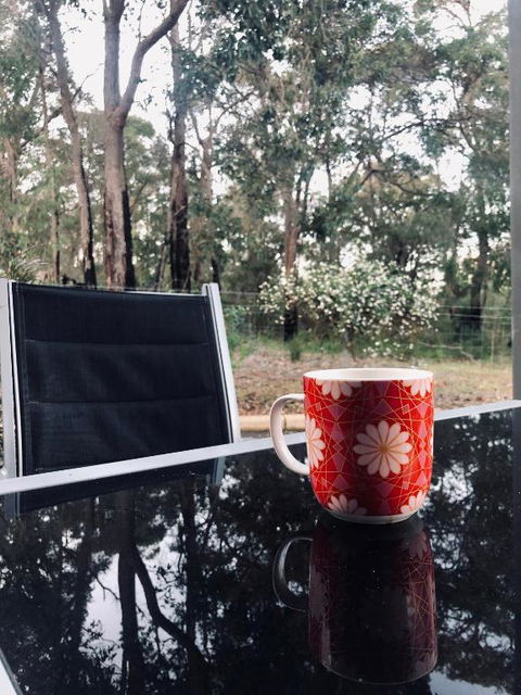 On The Edge Of The Forest - Lennox Head Accommodation 6