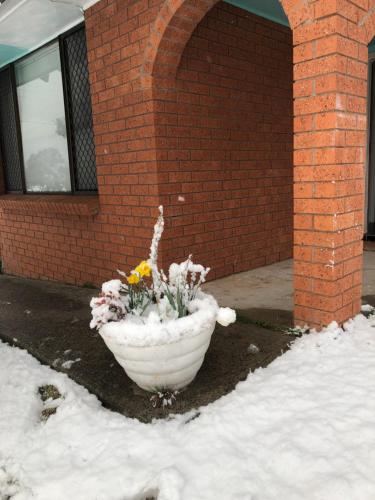 Ecoangelus - Lennox Head Accommodation 4