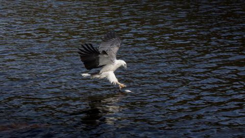Arthur Riverfront & Sea Lodge Upstream - Lennox Head Accommodation 1