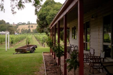 Fergusson Winery Homestead Accomodation - Lennox Head Accommodation 2