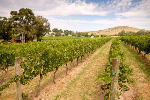Fergusson Winery Homestead Accomodation - Lennox Head Accommodation 3
