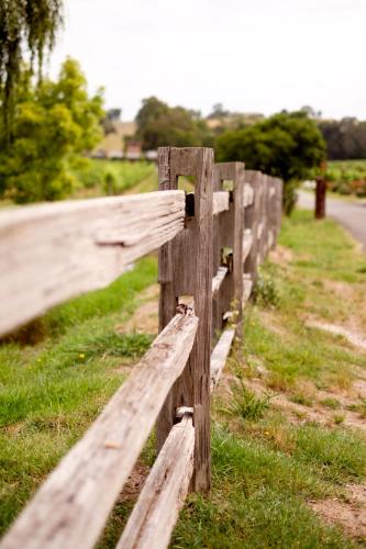 Fergusson Winery Homestead Accomodation - Lennox Head Accommodation 6
