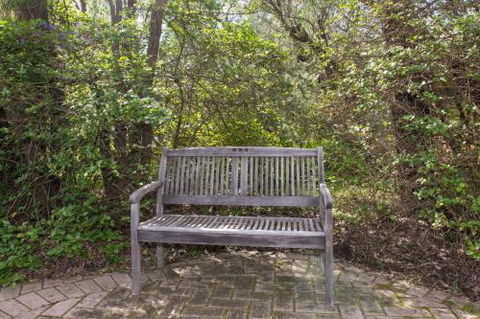 Havys Home - Lennox Head Accommodation 5