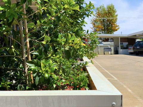 Baths Motel - Lennox Head Accommodation 0