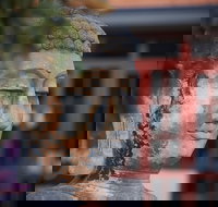 Pagoda Resort  Spa - Lennox Head Accommodation