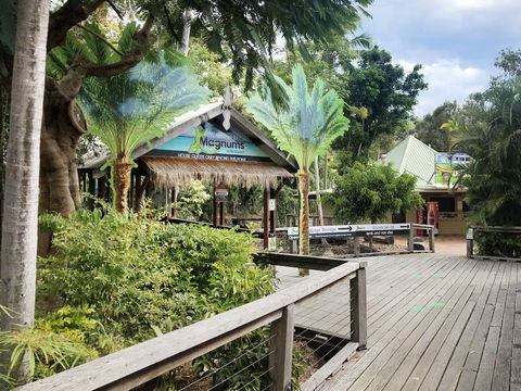 Magnums Airlie Beach - Lennox Head Accommodation 5