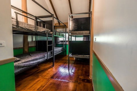 Jackaroo Treehouse Mission Beach - Lennox Head Accommodation 0