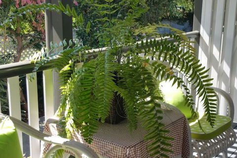 Elindale House Bed & Breakfast - Lennox Head Accommodation 4