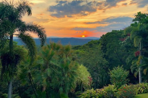 Daintree Manor Bed & Breakfast - Lennox Head Accommodation 0