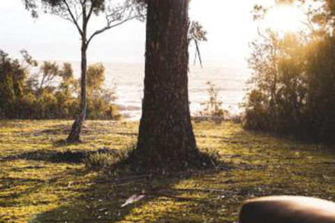 Seagrass On Sunset Bay - Lennox Head Accommodation 1