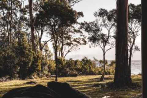 Seagrass On Sunset Bay - Lennox Head Accommodation 2