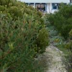 Polperro A Quintessential Seaside Experience - Lennox Head Accommodation 0