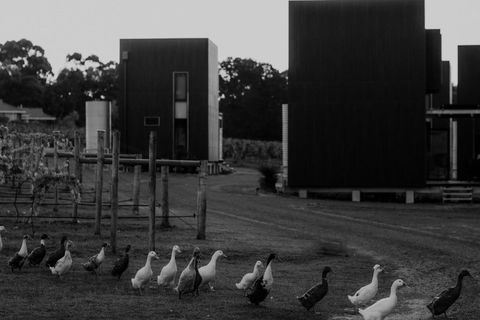 Barn Hives Yallingup - Lennox Head Accommodation 1