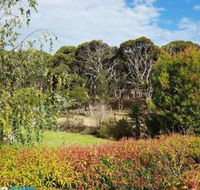 The Old Picnic Ground at Ironstone B  B - Lennox Head Accommodation