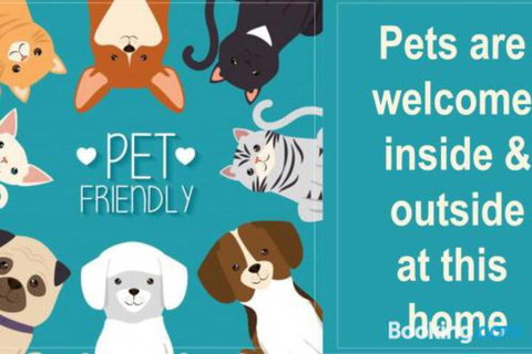 The Vibe Sandy Point - Lennox Head Accommodation 5