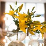 KUI Manhattan Apartments - Lennox Head Accommodation 0