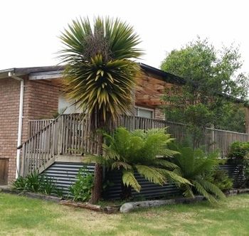 Strahan Holidays - Lennox Head Accommodation 4