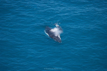 Apartments Located At Blue Seas Resort - Lennox Head Accommodation 3