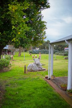 Davidsons Cottage - Lennox Head Accommodation 5