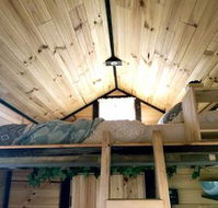 Big Tiny Dale View Tiny House - Lennox Head Accommodation