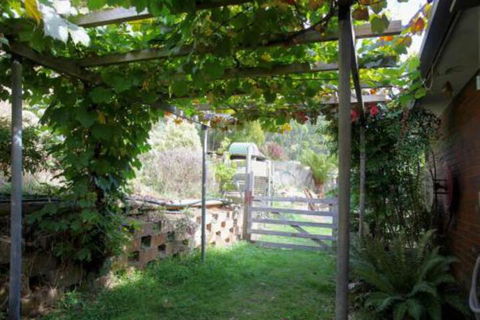 Bushy Park Retreat - Lennox Head Accommodation 7