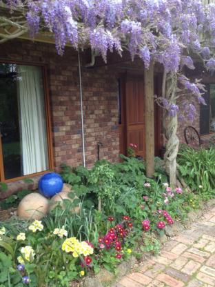 Wisteria Lodge - Lennox Head Accommodation 4