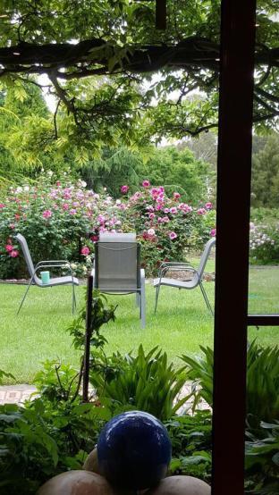 Wisteria Lodge - Lennox Head Accommodation 5