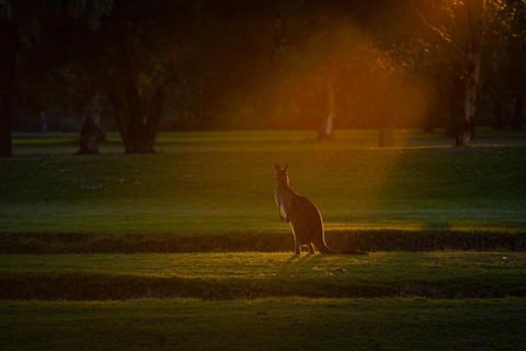 Renmark Resort - Lennox Head Accommodation 5