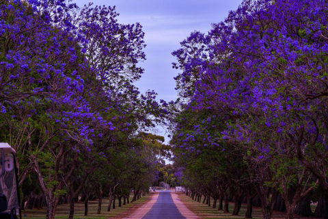 Renmark Resort - Lennox Head Accommodation 3