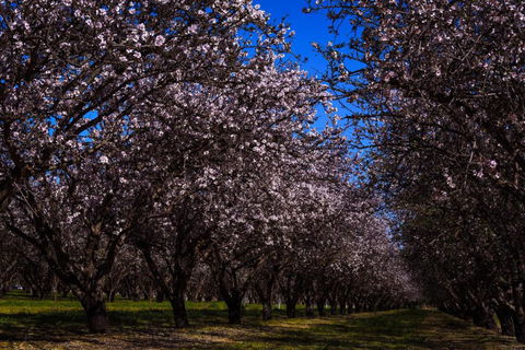 Renmark Resort - Lennox Head Accommodation 2