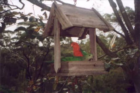 Arcadia Cottage - Lennox Head Accommodation 2
