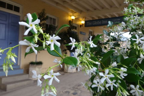 The Globe Inn - Lennox Head Accommodation 2