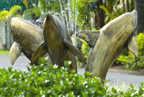 Cairns Coconut Holiday Resort - Lennox Head Accommodation 1