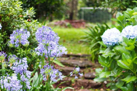 Mt Glorious Getaways - Lennox Head Accommodation 4
