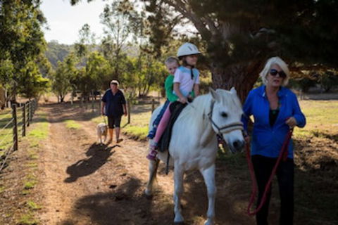 Misty Valley Country Cottages - Lennox Head Accommodation 0