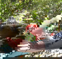 Lorne Bush House Cottages  Eco Retreats - Lennox Head Accommodation