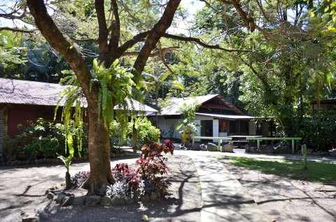 PKs Jungle Village - Hostel - Lennox Head Accommodation 5