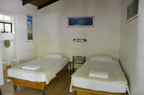 PKs Jungle Village - Hostel - Lennox Head Accommodation 4
