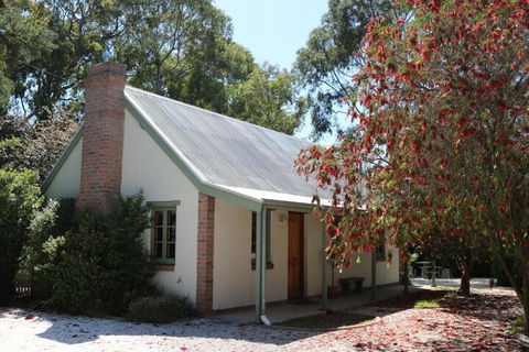 Tanunda Cottages - Lennox Head Accommodation 5