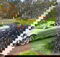 Valley Farm Vineyard Cottages - Lennox Head Accommodation