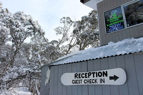 Sugarbush Lodge & Apartments - Lennox Head Accommodation 0