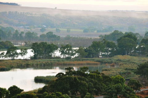 Riverview Rise Retreats - Lennox Head Accommodation 6