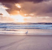 Blue Waters Motel - Lennox Head Accommodation