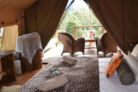 Silk Pavilions Glamping - Lennox Head Accommodation 4