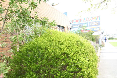 Carnegie Motor Inn - Lennox Head Accommodation 0